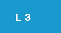 L3